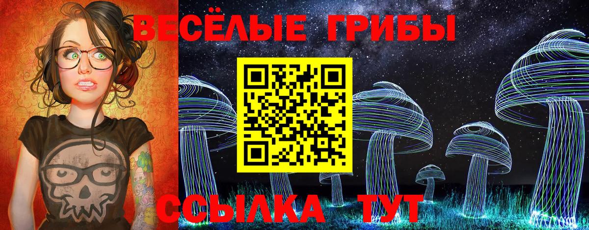 Псилоцибиновые грибы Psilocybe  Вход с VPN  Ялта 