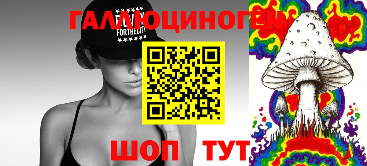 Галлюциногенные грибы Psilocybine cubensis Ялта
